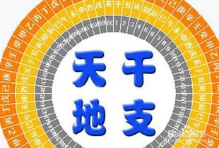 生肖风水与星座运势：给店铺加点神秘色彩