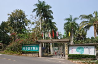 千年古郡儋州，独特风俗魅力，探寻儋州风情