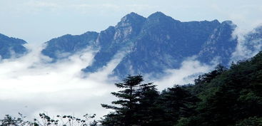太白山生林公园门票价格到底是几块钱？