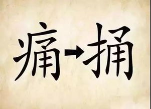 5. 莲芝（lian zhi）