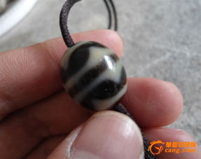 属虎戴天珠旺吗？属蛇适合戴虎牙天珠，这二者有何关联？