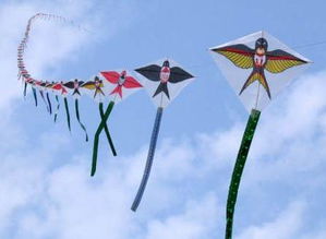 风筝传承，民间风情，魅力无限，传统民俗新爆款