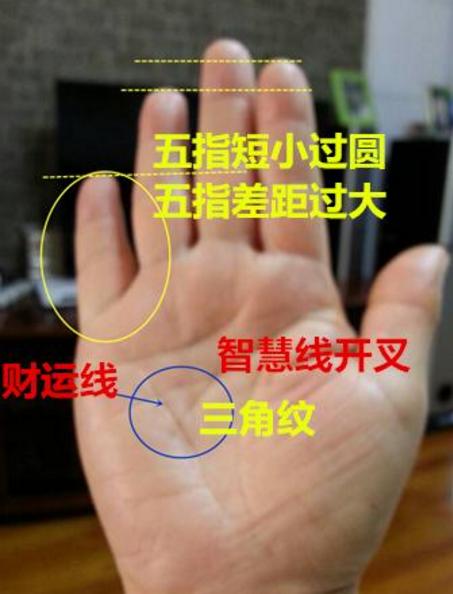 “老爸老妈”者阝藏在大拇指里？