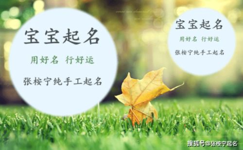 1) 字义与生肖相合的原理（简述）
