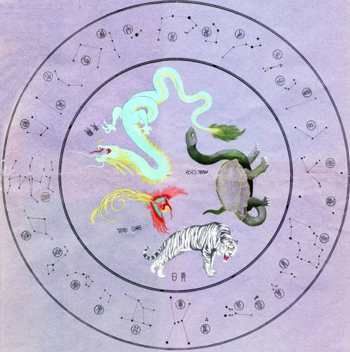生肖与四象：命运的丝线