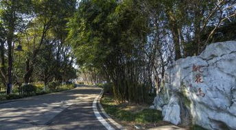 别傻乎乎往主路挤！后山藏着不可告人的秘密
