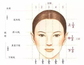 一、 前言——面相与命运的奇妙纠缠