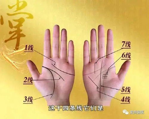 手相算命大揭秘：你的手掌藏着惊天大秘密！