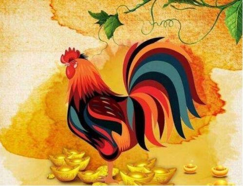 牛年婚姻相配十二生肖，鼠年已去牛年将至，打一生肖最佳答案是什么生肖最配？