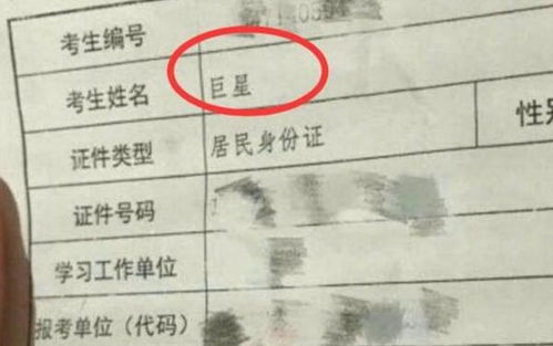 邦字：男孩名字中的大气与寓意，啊，还有我的老猫！