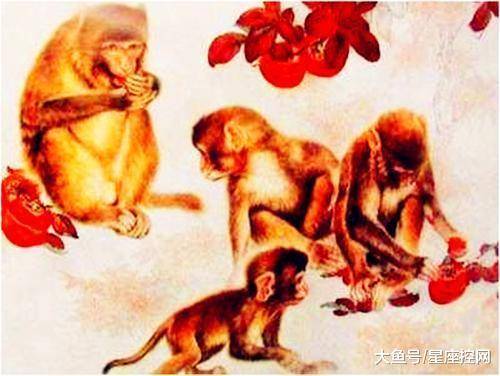 生肖猴：机智聪明——事业生意双突破（混乱版）
