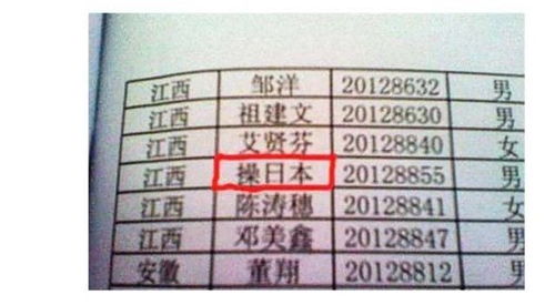 名字：一场情感的盛宴