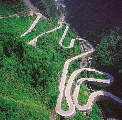 吃货指南：舌尖上的过山车