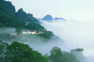 三月份去哪里旅游最合适之江南篇