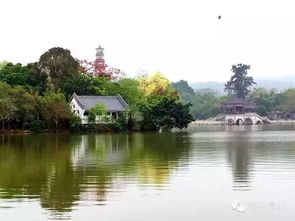 到底哪一天才是那个所谓的最佳时节呢？这真是一个让人头秃的问题！