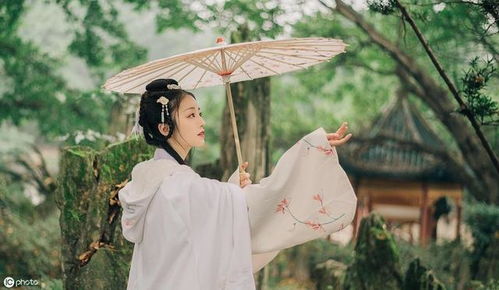 七、 生肖大乱斗：谁才是夜哭的真凶