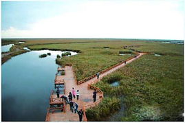 黄河口生态旅游区 – 黄河入海口的震撼