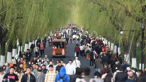 三、特色活动丰富多样：除了风景还有这些