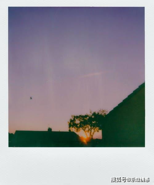 风水大改造！2026年旺桃花布局