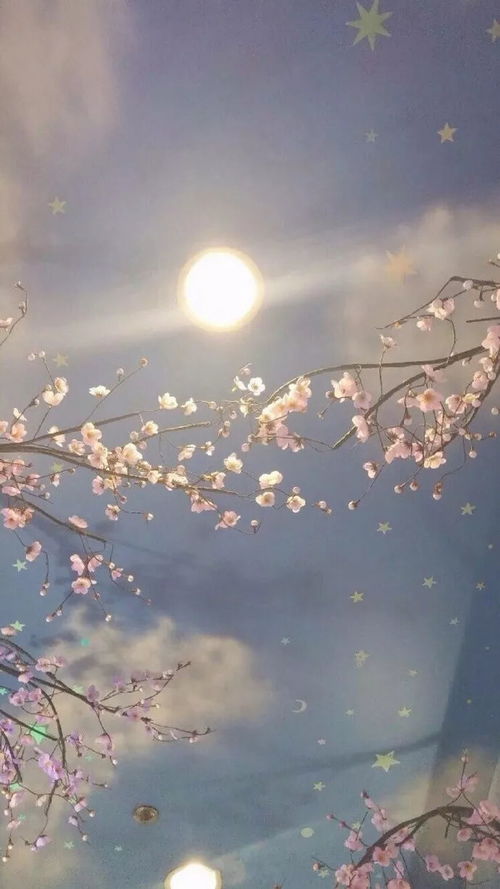 月光下的誓言