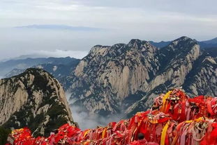 8:00 启动登山(北峰索道上山).郑州东站→华山北站(每日6-8班).