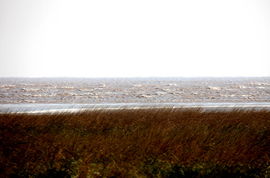4. 盐城：滩涂湿地与海岸风光