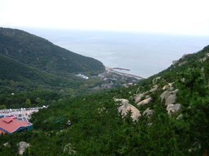 个人经历与感受