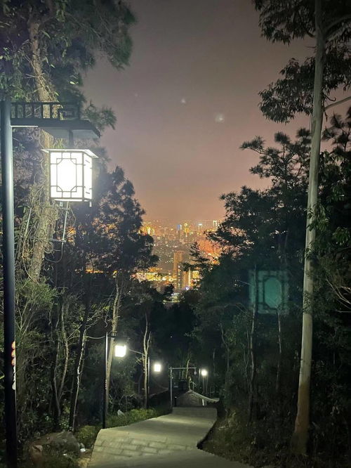 观音禅寺的午夜钟声