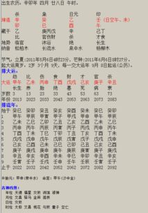 如何通过输入名字精准查询其生辰八字信息？
