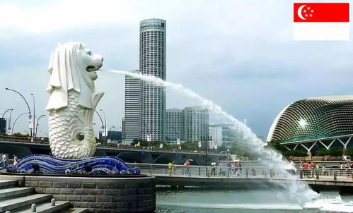 价值创造？骗钱新招！