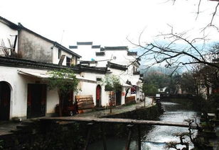 景区内怎么玩？（避坑指南）