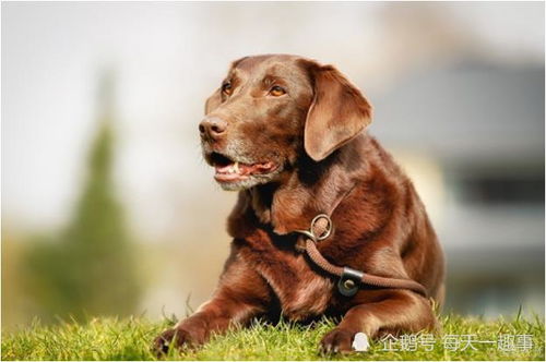 1970年属狗人在2026年有哪一方面的灾祸，在哪一方有可能发财？