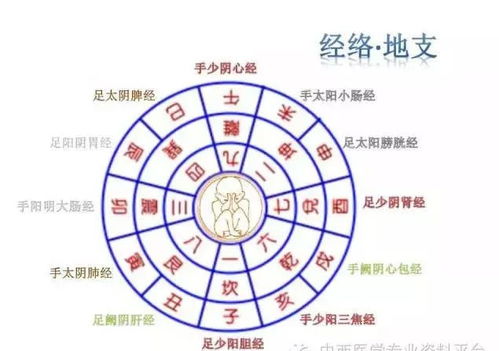 请问八卦二十四山吉凶断法，二十四山正确坐向大全都有哪些内容？
