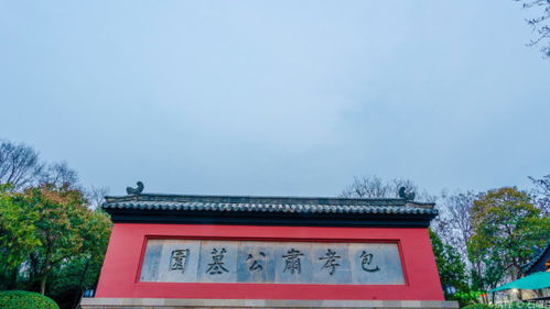 先说免费这事
