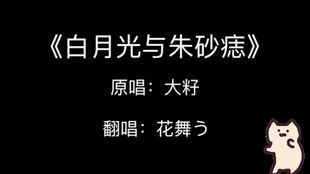 情感共鸣与个人解读