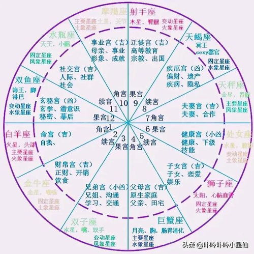 婚姻星9宫位，婚神星落在哪个宫位，预示着怎样的婚姻命运？