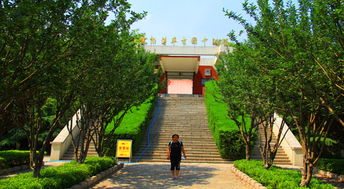 中国古车博物馆：探寻古代造车工艺