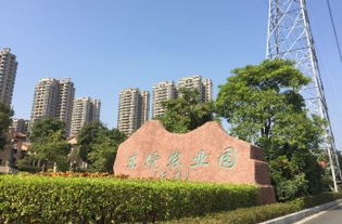 门票细节