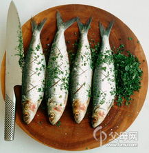 沙丁鱼：小身材大危害