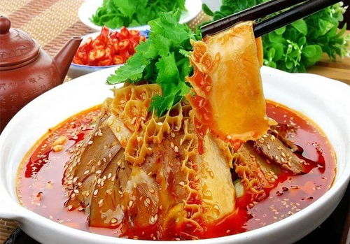 四、 夫妻肺片：麻辣鲜香，回味无穷（甚至可以写成诗）