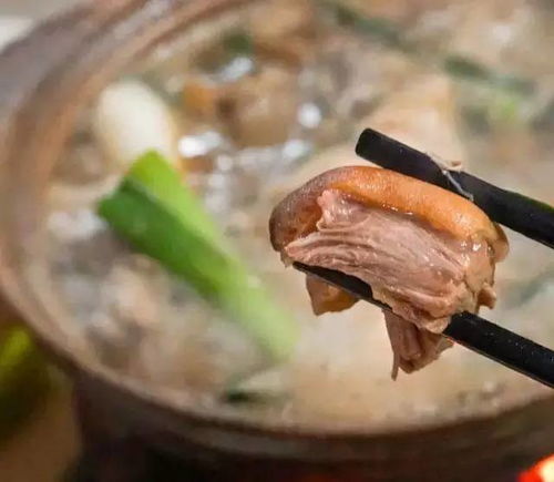 广州美食攻略