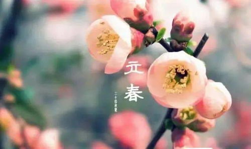 2018立春爆款，传统风俗新风尚