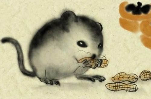 属鼠人几月出生犯月，出生年月日时命运如何改变？