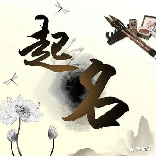 丁姓女孩取名：那一刻的悸动与期盼
