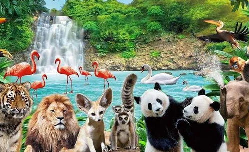 震惊！这个动物园居然不是普通的动物园