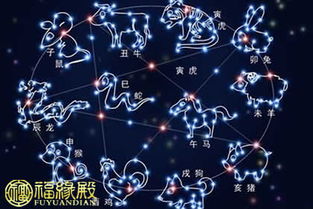 从山顶洞人到现代人的神秘学研究