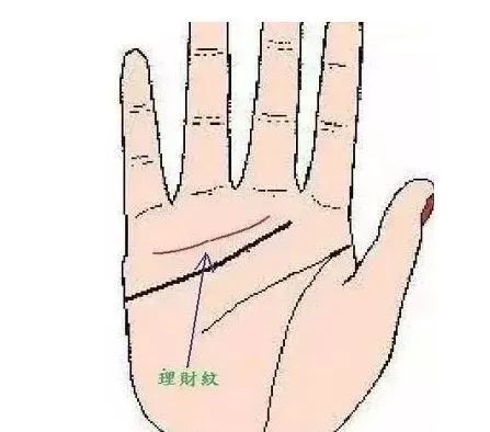手掌的暗地：财运的奥秘，你了解几许更多？