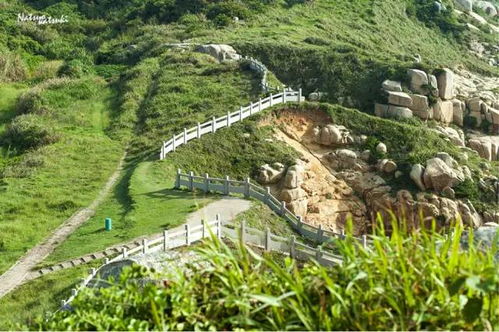 南方旅游避坑指南：那些被旅行社藏起来的冷门玩法