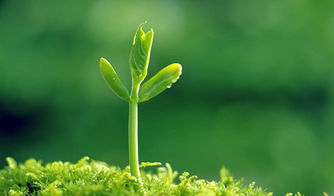 木木木！小心玩火自焚