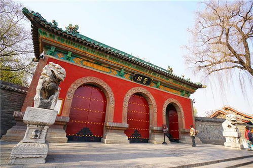 一、历史持续发展的回声：南苑的起源与变迁